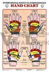 Hand Reflexology Anatomical Chart